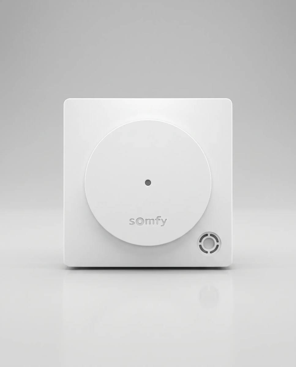 Extensie radio pt Somfy Protect Somfy 2401495